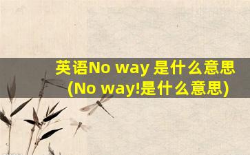 英语No way 是什么意思(No way!是什么意思)